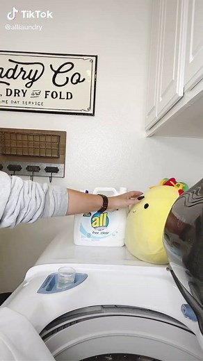 all® laundry detergent on TikTok