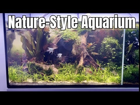 Making a STUNNING Nature Style Aquarium (Aquascaping Step-By-Step Tutorial)