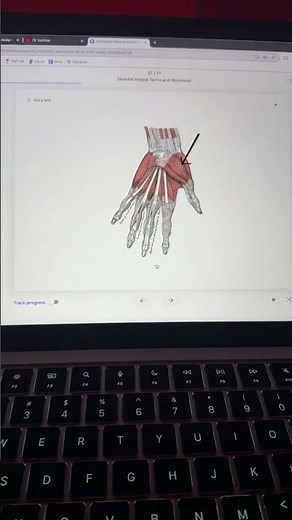 some quizlet flashcards I did