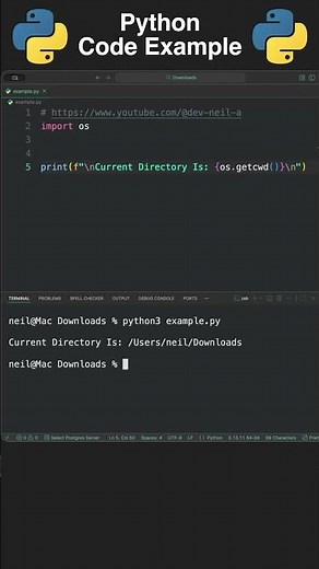 Python: Get The Path Of The Current Directory #shorts