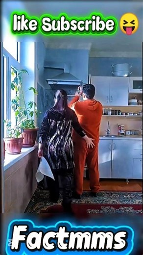 Wait For The End! 🤣 The Ultimate Dose of Laughter #Fectmms