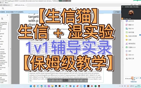 【生信猫1v1 - 生信+ wet实验保姆级教学展示（卖1v1课，慎入）】| TCGA | GEO | 生信 | 湿实验 | R语言 | 湿实验