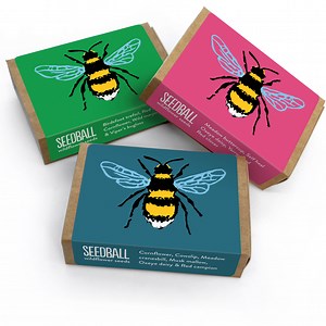 Bee Boxes (Set of Three) - Seedball