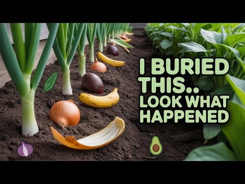 Garden Hacks for Thriving Plants (DIY Gardening Tips & Tricks)