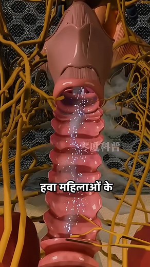 Why Women Making Sound while making love 😱Unknown Facts #shorts #facts #factsvideo #love #shortsvideo #reelsvideo #reelsviral #reelstrending #viralreelschallenge #fyp #explorepage #fb #love #reels #emotional #viralpage | Exp videos