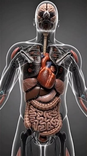 Cigarette🚬 Effects Explained #humanbody #medicalanimation #3danatomy
