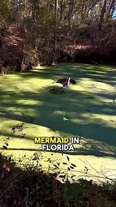 Mermaid captured in Florida 😳 | Podcast Clips