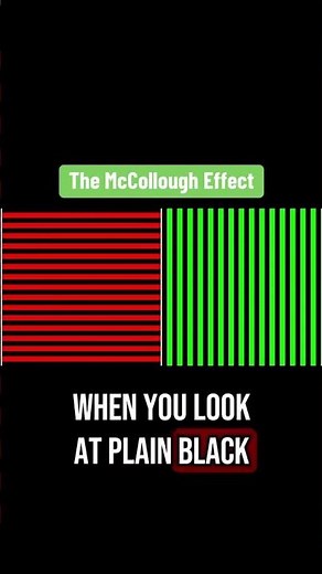 The McCollough Effect