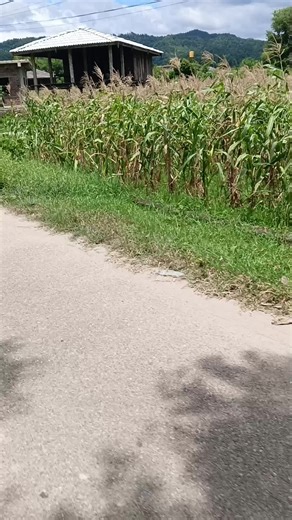 #sudip #creatorsearchinsights #ye gujarne waali hawa