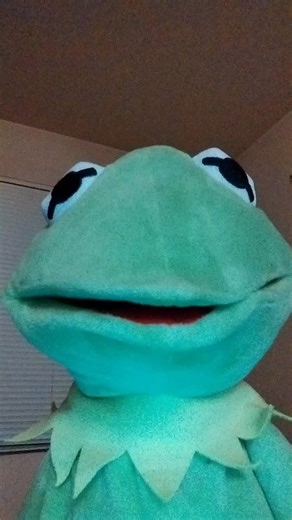 #comedy#puppetry#puppetsoftiktok#puppets#puppet