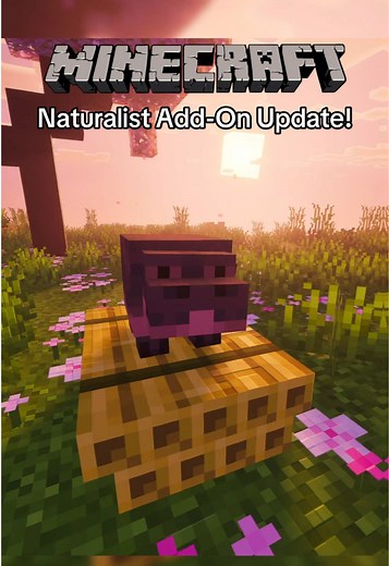 Minecraft Naturalist Add-On: 36 New Baby Mobs & Pets!