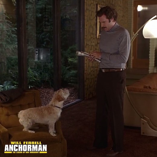 We're grateful for all our wise friends who occasionally poop in the refrigerator. #NationalDogDay https://paramnt.us/WatchAnchorman | Anchorman