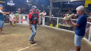 1.3K reactions · 106 shares | 4 Stag Derby Banga CockPit 3rd Fight VJY Scorpion | Victor James Yap | Facebook