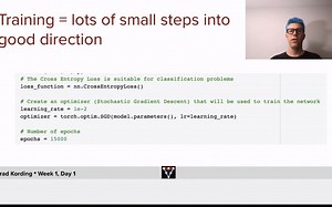 W1D1: Train the Network