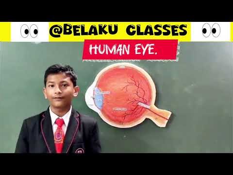 Human Eye||Types of Defects ||Corrections||10th std