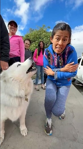 ¡Aprendiendo a esperar junto a un perrito que canta! 🐶🎶 #123andres #cancionesinfantiles