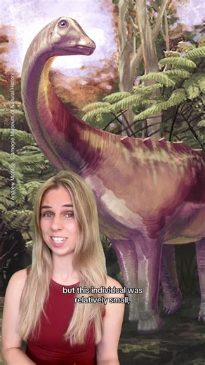 The first dinosaur fossil to be discovered in Antarctica 🦕 #NHM #Dinosaur #Antarctica