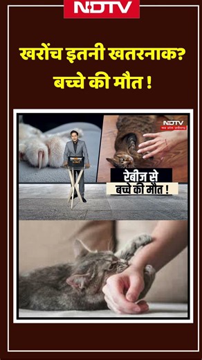 Cat Scratch News Viral Video: Scratches so dangerous? Child dies! Rabies #shorts #ytshorts #rabies