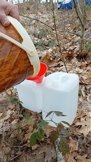 Self-promotion: Order birch water on eBay using the QR code and save €10.