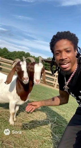 41K views · 931 reactions | Never saw this only seen it on movies and read about a two headed goat it freaks me out but so cool at the same time #farmhouse #goats #twoheadedgoat | Larzarus Crosby | Facebook