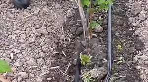 8406c200597786452538b452a1800283_3114_1683400427