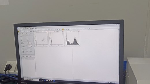 流式 测ROS DCFH染色