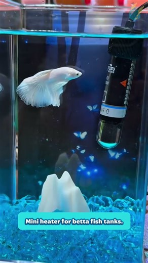 Use a mini heater to keep your betta warm during cold weather.