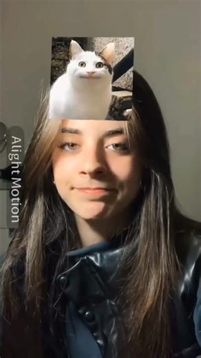 cat meme face 🤓 #shorts