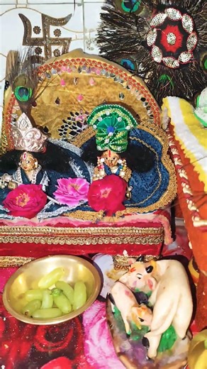 radhe radhe 🙏🙏❤️