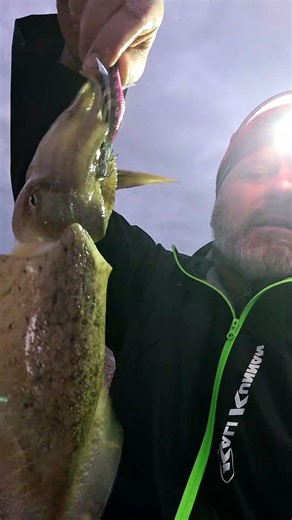 Pescata FANTASTICA ad Eging. 9 in 2 ore dalla Spiaggia #pesca #fishing #egind #spinnimg