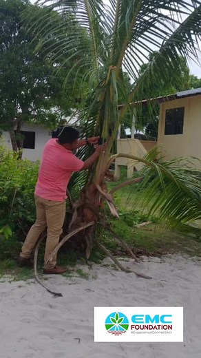 The Warapoka Primary Environmental Club recently learnt all about camera traps as part of the EMC Foundation's E-STEM Programme! Students learned how to set up a camera trap, their applications in environmental conservation and their benefits in monitoring wildlife in their natural habitat. #experienceconnectact #environmentalclub #estem #warapoka