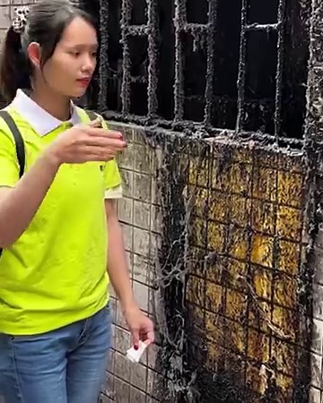 2.5M views · 10K reactions | Dust to shine: cleaning chronicles | Bloom | Facebook