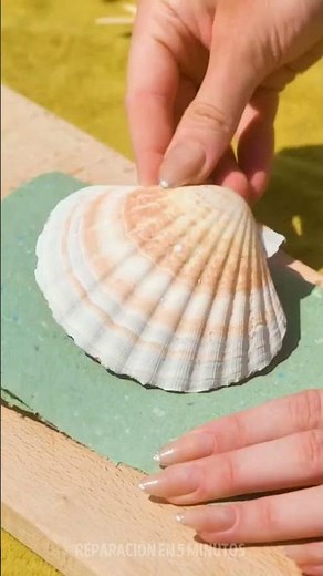 ¡Increíble Cuaderno del Mar! 🌊✨ Hecho con Conchas y Magia.