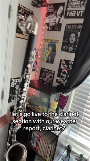 Weather Report from the Clarinet Section