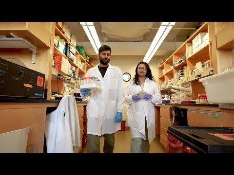 Learning how infectious diseases spread—and how to stop them