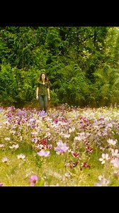 2K views · 79 reactions | "Relive the heart-pounding moments and unforgettable romance of 'The Twilight Saga.' Let your imagination soar once again | Phuongnhat27068 | Facebook