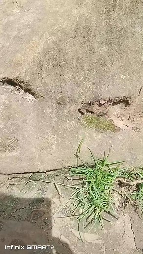 #laderanapakaliget dalawang mata nakatingin sa crab marker. | Richard Ladera