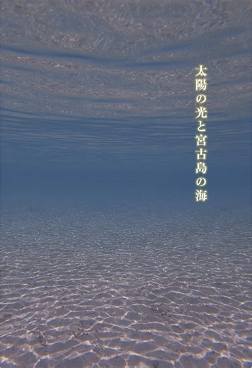 🔱Miyako Island🔱 ______________________________________ #宮古島 #宮古島移住 #宮古島旅行 #宮古島観光 #宮古島リゾバ