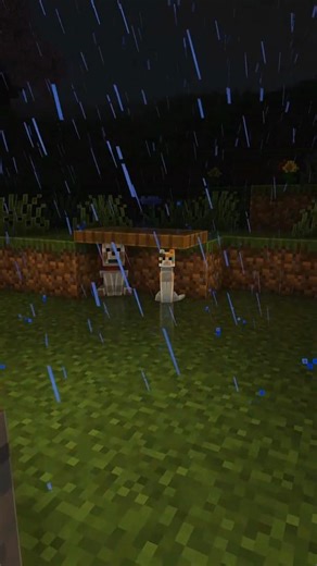 Minecraft Pet House 💀