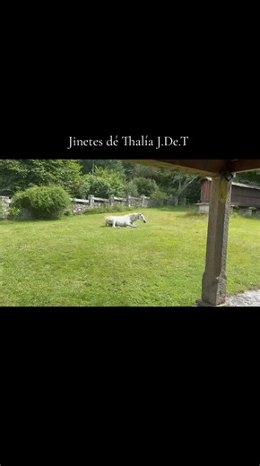 Suelo decir son una amalgama muy grande de muchos elementos diferentes de toda índole que hunden sus raíces en los principios del neolítico. Son las historias más antiguas que conservamos en nuestra tradición. Evidentemente, con muchas capas añadidas y con elementos de todo tipo que se van superponiendo. Pero son una memoria viva que ha cruzado los siglos a través de la tradición oral fundamentalmente. Hasta que empieza a ponerse por escrito en la época en la antigüedad clásica y en la época ale