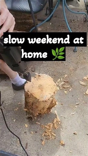 Calm Weekend Reset 🌿 Cleaning, Cooking & Simple Routines