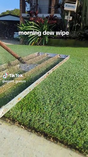 Springtime Morning Dew Wiping Routine