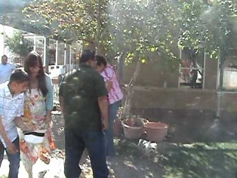 7.2 Easter Earthquake 2010