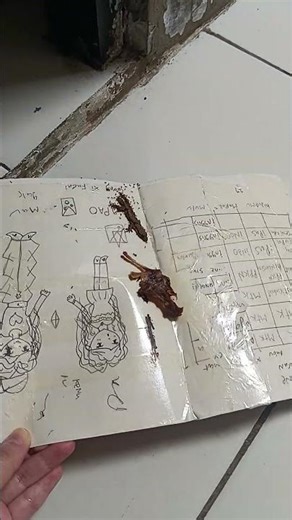 Bikin jebakan cicak semalaman eh dapet hasilnya 🦎 lumayan biarpun 1 #trap #fyp #tutorial #review