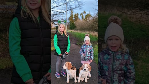 What 6 years of beagle love looks like