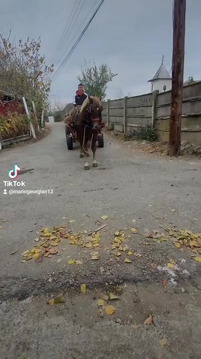 Videoclipuri postate de Marin Georgian (@maringeorgian12) cu Cine Ieri M-a Dusmanit - Florin Salam