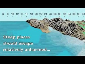 What a Cascadia Tsunami would look like