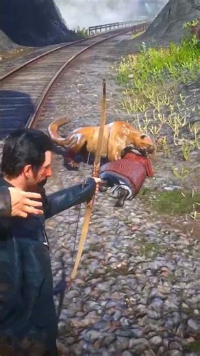 Nấu những món ăn rừng núi hoang dã p1571