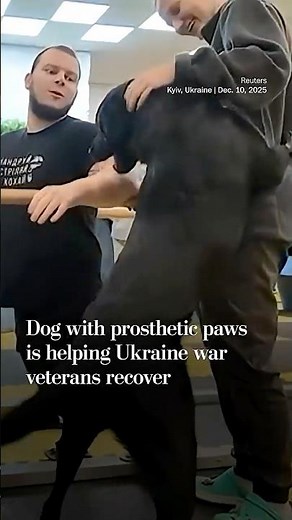 Dog with prosthetic paws is helping Ukraine veterans recover