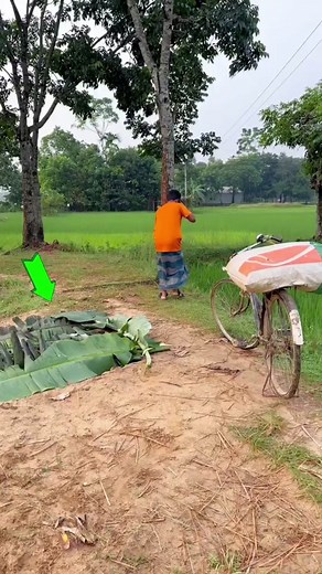 Ha ha #drole #funny #bebedrole #babyfunny #bebedroles #bebemignon #videofunny #videodrole #Tiktokdrôle #vidéosdrôles #MomentDrôle #FunnyTikTokvideos #bébé #bébémignon